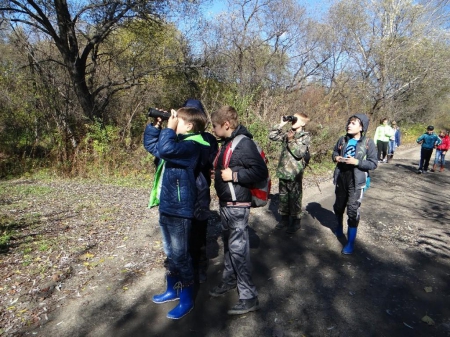 ������ ������� ���������� ����