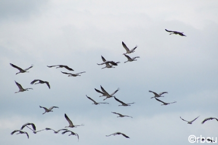 ��� �������� ������� �������� �������� �������� ��������