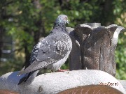 P6102850.JPG