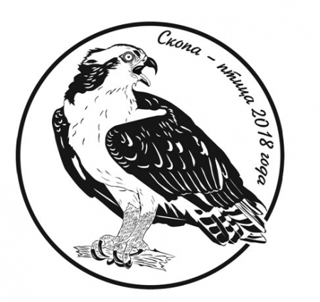 ������� ������� ������ � ����� - ���� ����������