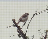 IMG_3850