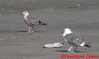 IMG_2580