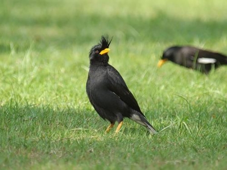 � ������  �����  ����� ��� ����