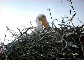  � ������ ������� ��������� � ������ ������ 