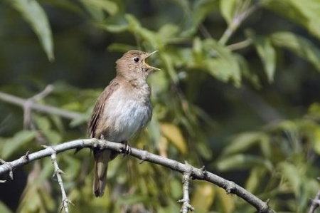 ���� ������� ������� �������?