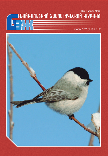 ����������� ������������� ������. ������ 21