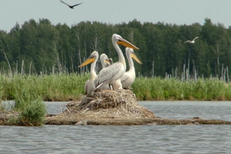 �� ������� ������