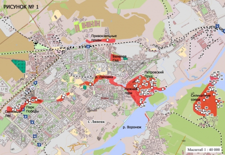 ����� ����� ����������� ������-2014� � �������