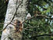 IMG_5673.JPG