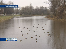 ���� ��������!