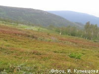 IMG_2052.JPG