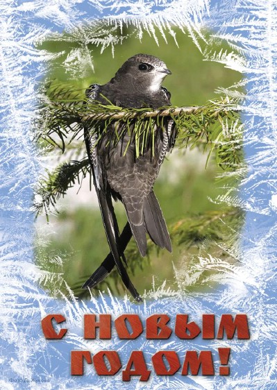 � ����� �����!