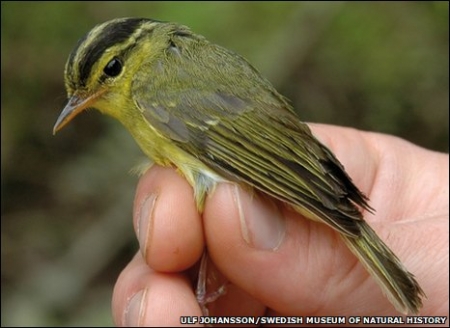 �� �������� � ����� ������� ����� ���� ����