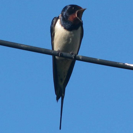 �����-2016: ���� �� ����, 12 ������