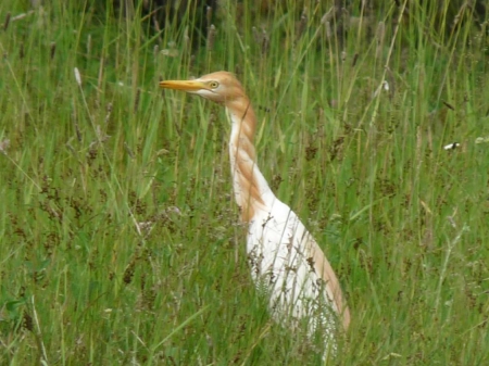 ���������� ����� � ������ ������ �������