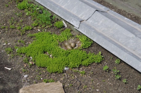 ����� ���� � ���������� �������