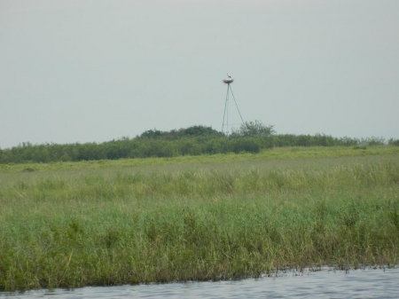 ����� ������� ������