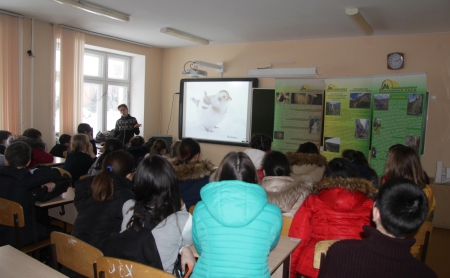 ���������������� ����� � �. ������� ������������� ������ ��������