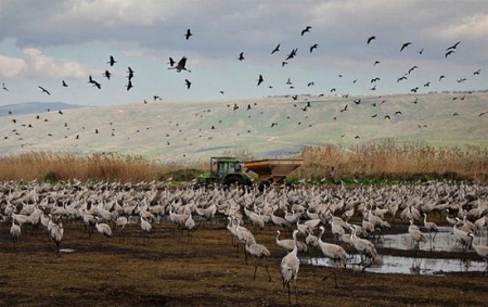 ������ ������������� ��������� ����  � �������