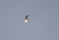 IMG_7245.JPG