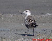 IMG_2576
