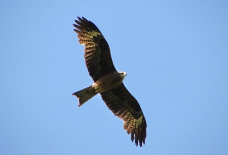 ����� � 2012: ���� �� ����.  4 ������