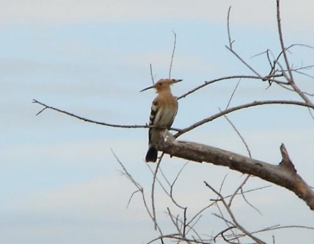 �������� �������� ���� � �������� ������