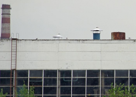 ����� �������� ���.