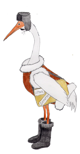 �������� ����� ������ ���� ������ ������ � �����-���������