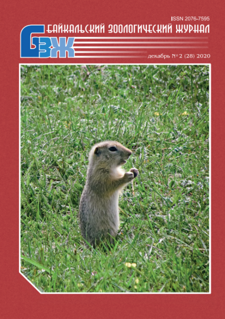 ����������� ������������� ������. ���. 28.