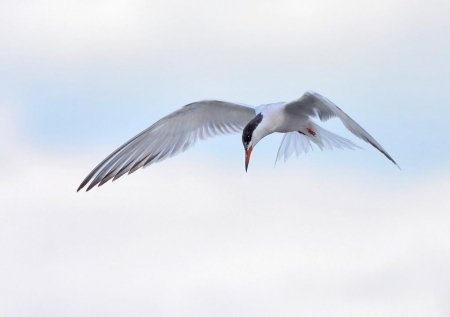 ����� � 2012: ���� �� ����.  30 ������