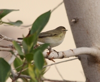 IMG_6688.JPG
