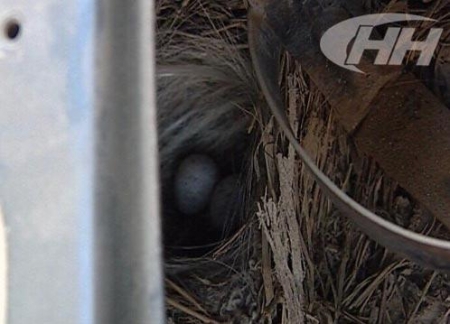 ����� ���� ����� ������ ��� ������� ������ 