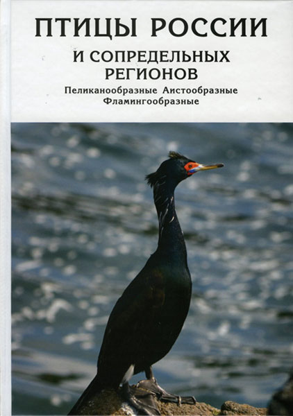 ����� ������ � ������������ ��������