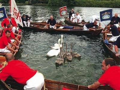 � ������ �������� ����������� ����������� �������