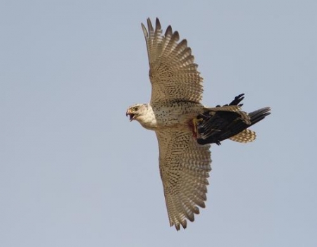  ������������� �������� ������� � ������ � ������� ��������� �������