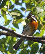 IMG_0168.JPG