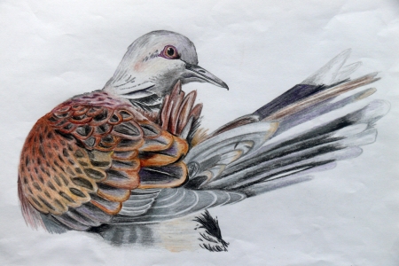 � �������� ������� ��������� ����� �������� ������ ����-2019�