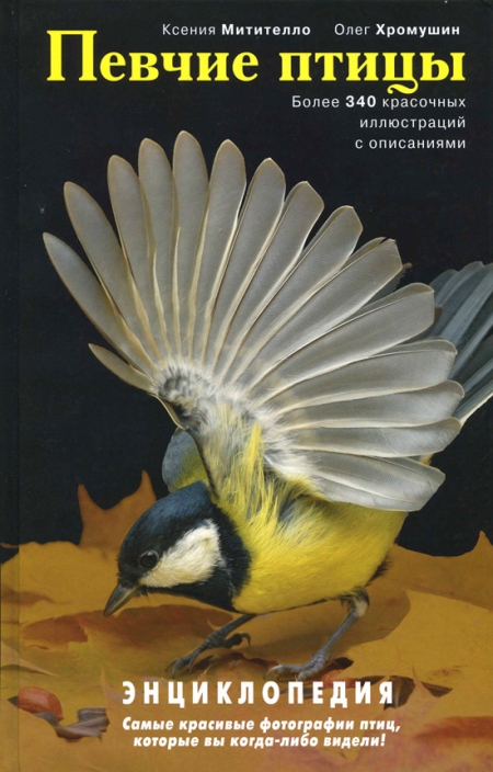 ������ �����