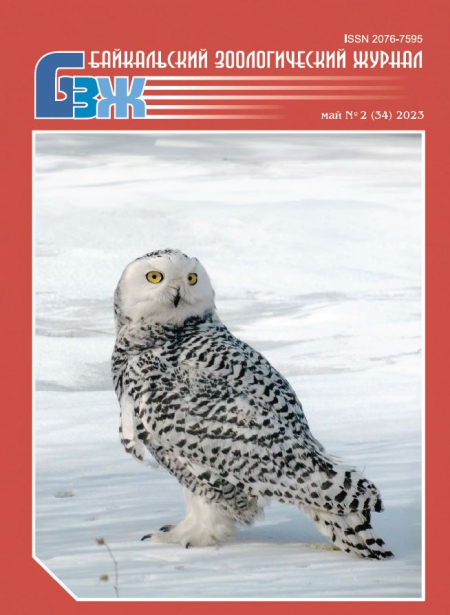 ����������� ������������� ������. ���. 34