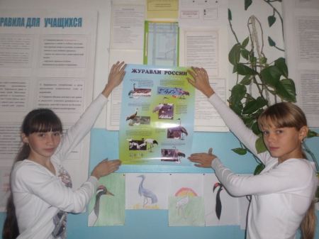 ���� ������� 2014 � ������