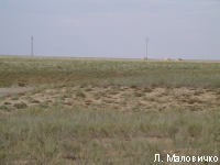 DSC03517.JPG