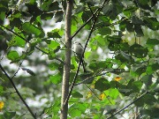 IMG_5677.JPG
