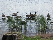 IMG_7137.JPG