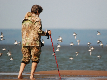 ���������������� ������ � ����������� �������