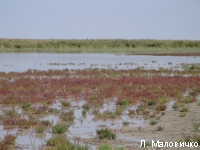 DSC07068.JPG