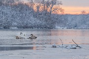 IMG_3166.jpg