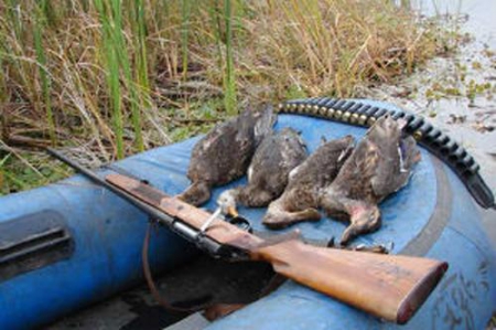 ��������� ���������� ������ �������� ����� �� ����