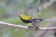 IMG_1088.JPG