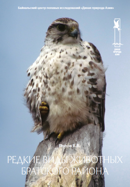 ������ ���� �������� ��������� ������